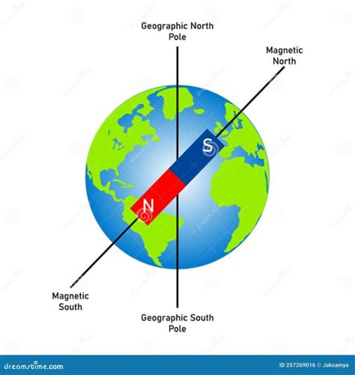 What happens to compass needle at Earth's pole?