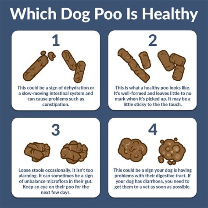 What happens to human poo in the UK?
