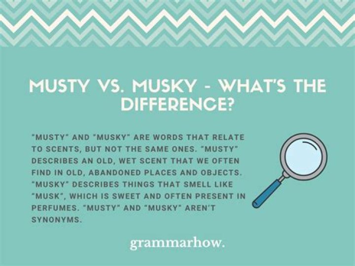What is a musky smell?