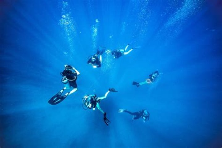 What is better scuba diving or snorkeling?