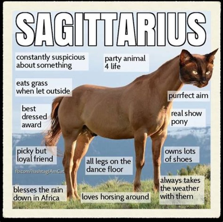 What is Sagittarius spirit animal?