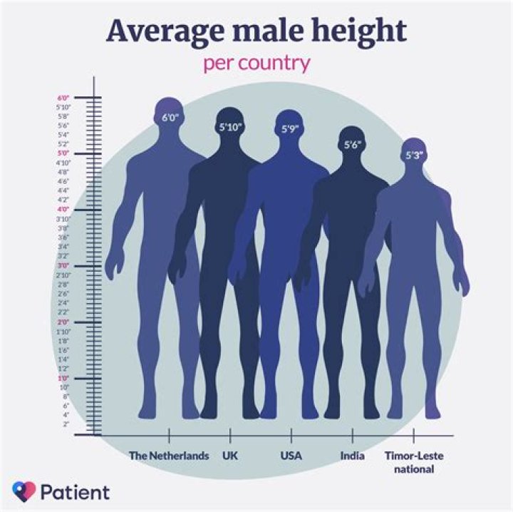 What is the average height in the MLB?