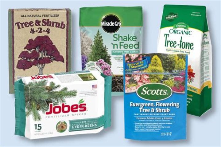 What is the best fertilizer for trees?