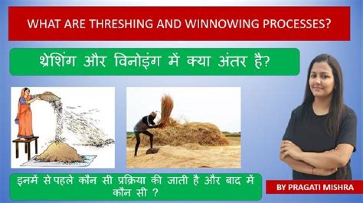 What is winnowing short answer?
