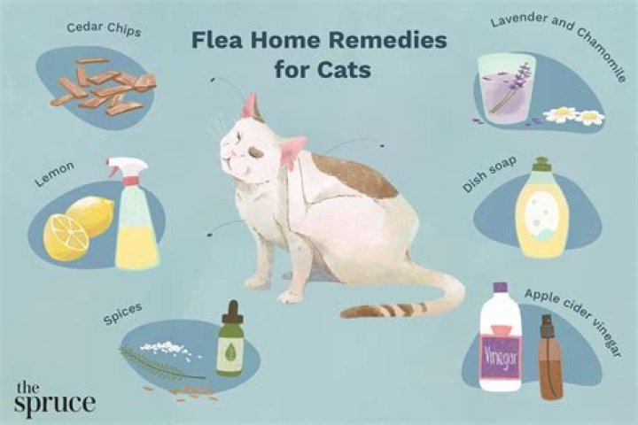 What kills fleas naturally on dogs?