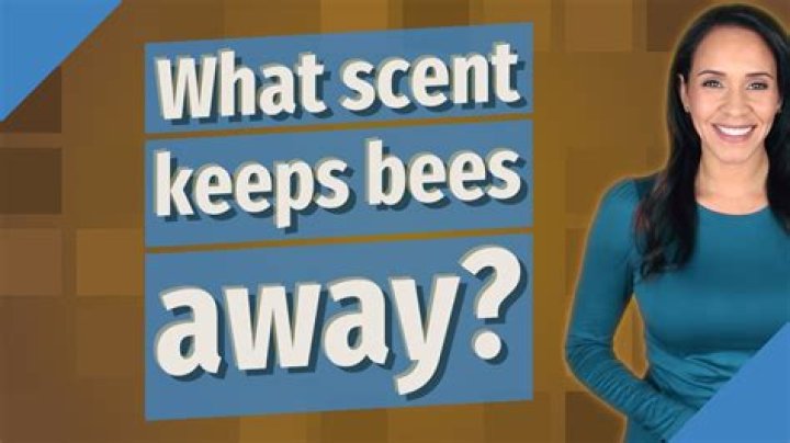 What scent keeps bees away?