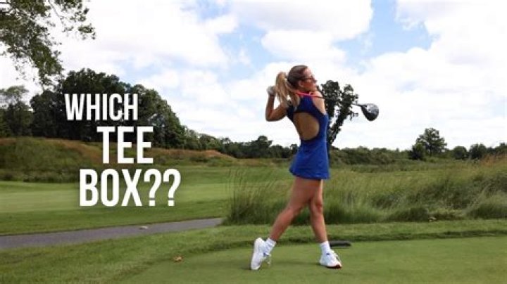 What tee box should I hit from?