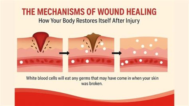 What to put on skin to heal faster?