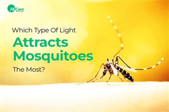 What type of person attracts mosquitoes?