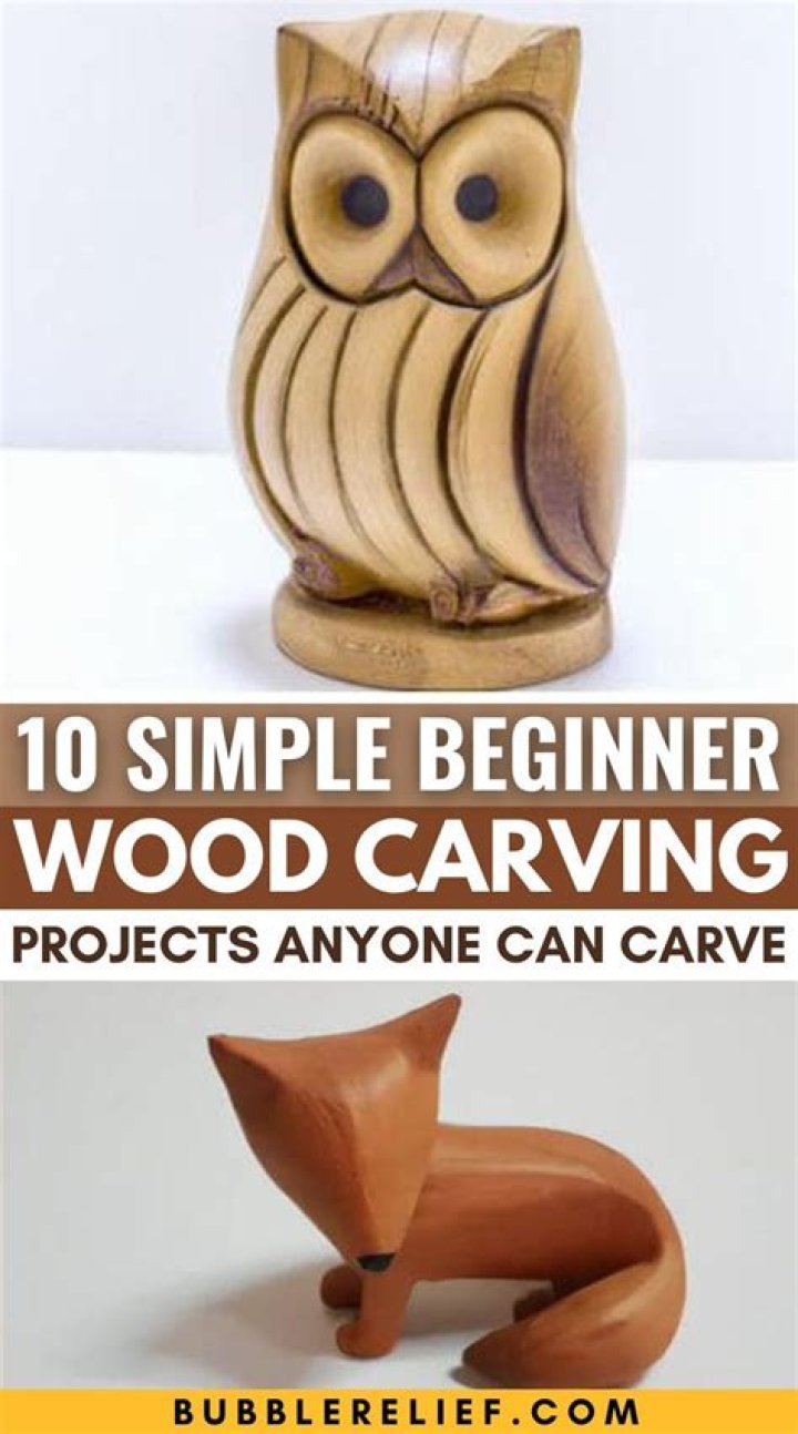 What woods should a beginner carry?