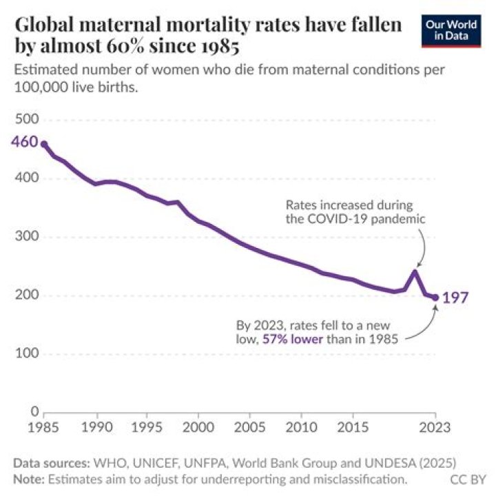 Which military branch has the lowest death rate?