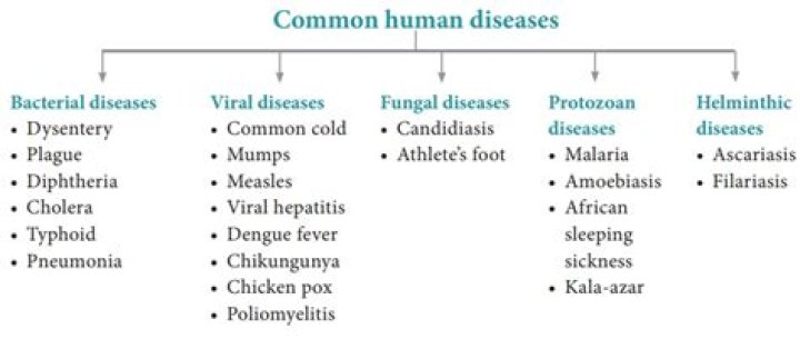 Which of the following diseases is caused by a point mutation?
