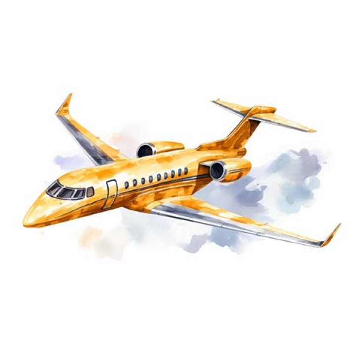Who owns a gold private jet?