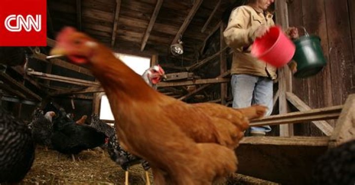 Why backyard breeding is wrong?