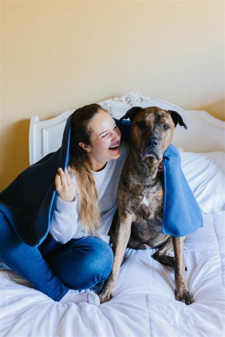 Why do dogs lick blankets?