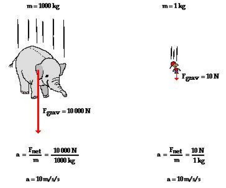 Why do objects of different mass fall at the same rate?