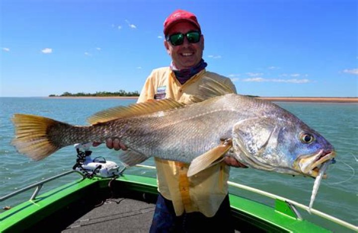 Why do they call it a jewfish?