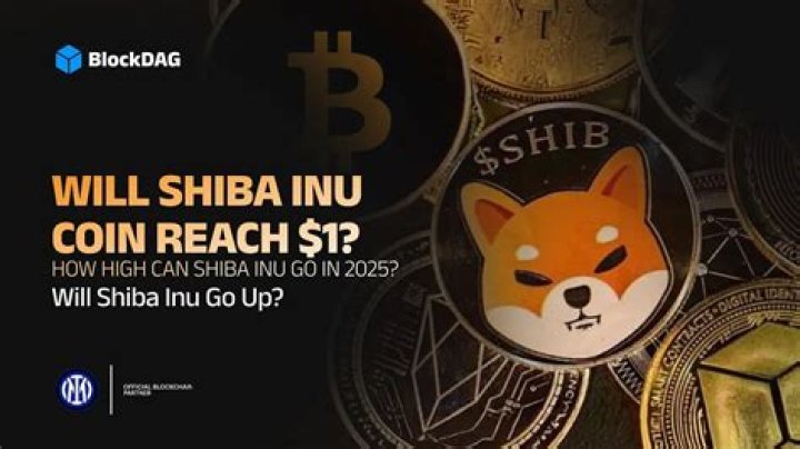 Will Shiba coins reach 1 cent?